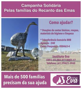 Instituto Eva - Recanto Mulher - Foto 01